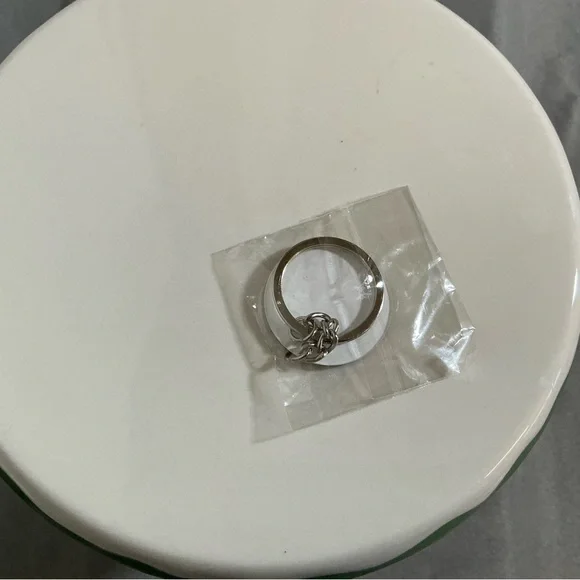 Taylor Swift Lanyard and Keychain Set - Picture 5 of 5